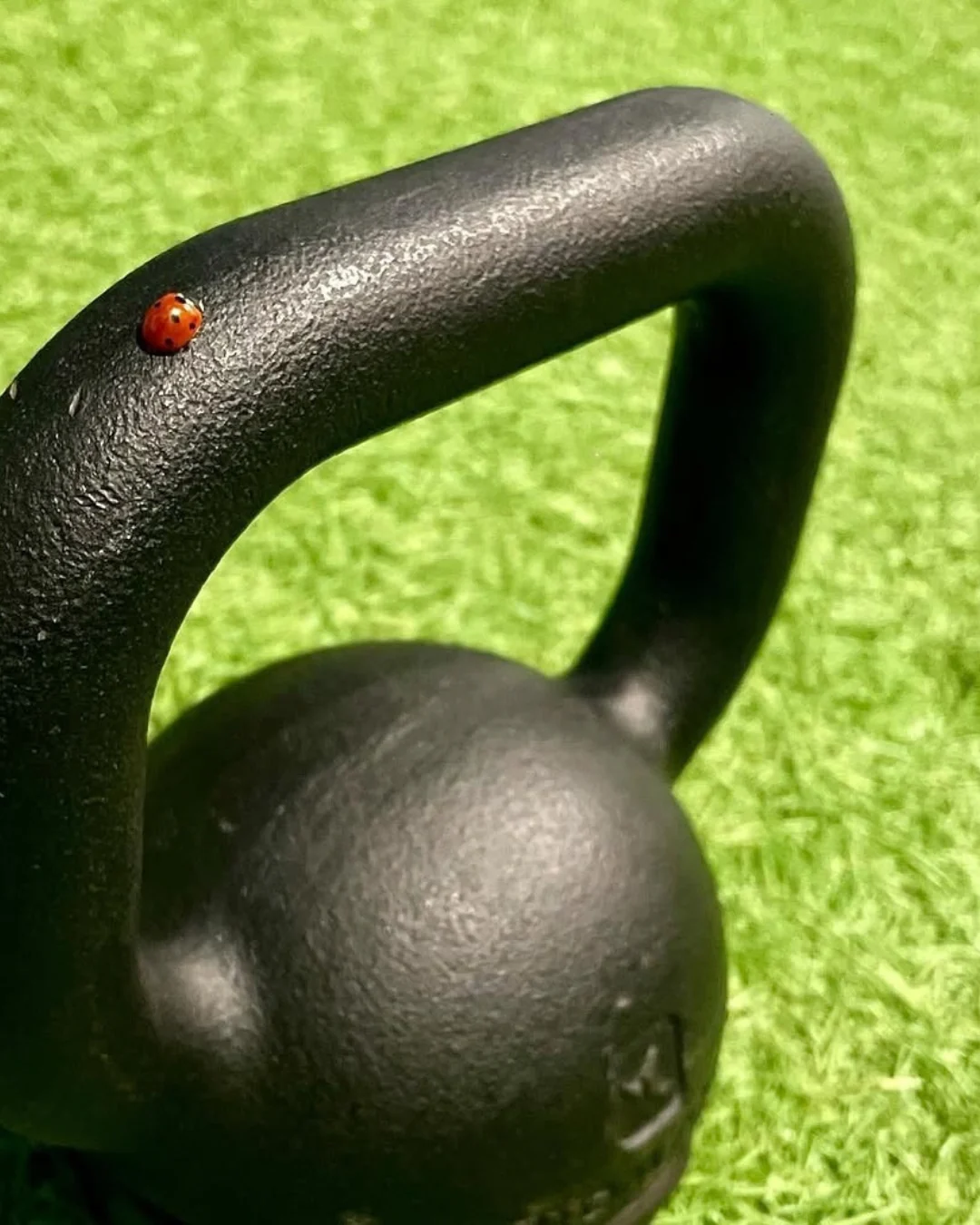 Detalle de una pesa durante una sesión deportiva.
