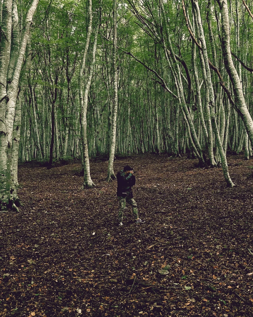 Paseo entre árboles durante una sesión en el bosque.